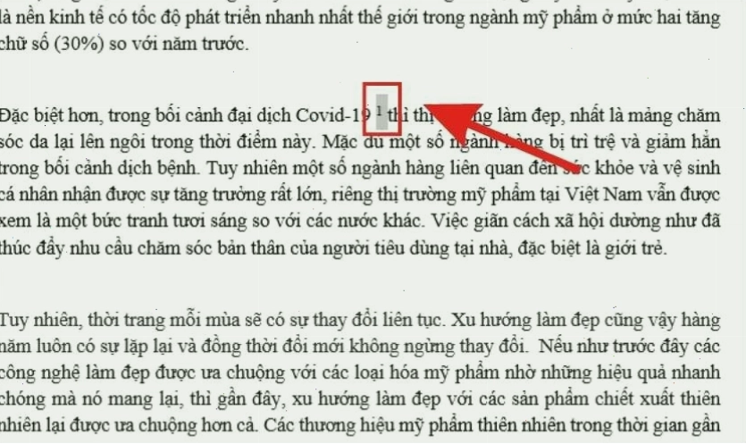 Cửa sổ tùy chỉnh Footnote and Endnote