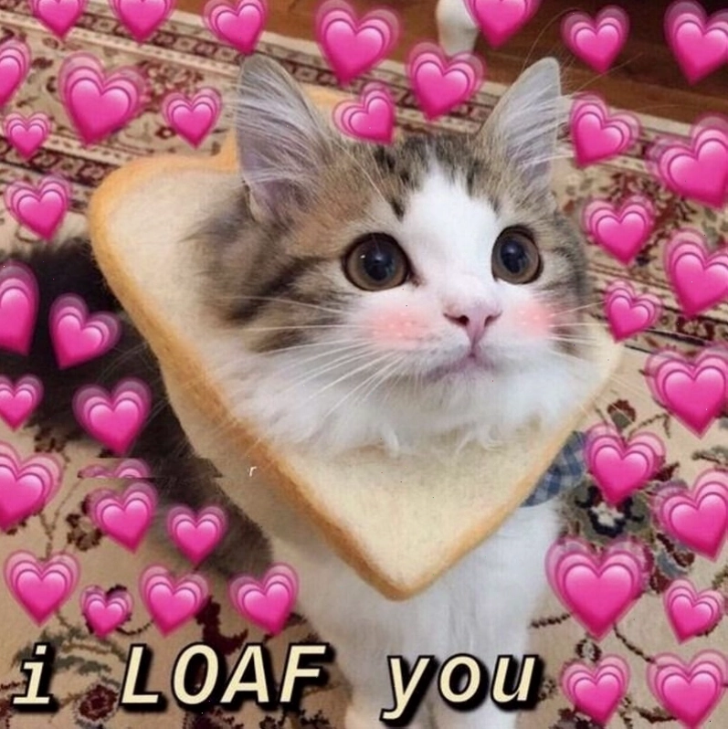 Giới thiệu meme tình yêu và cách sử dụng hiệu quả