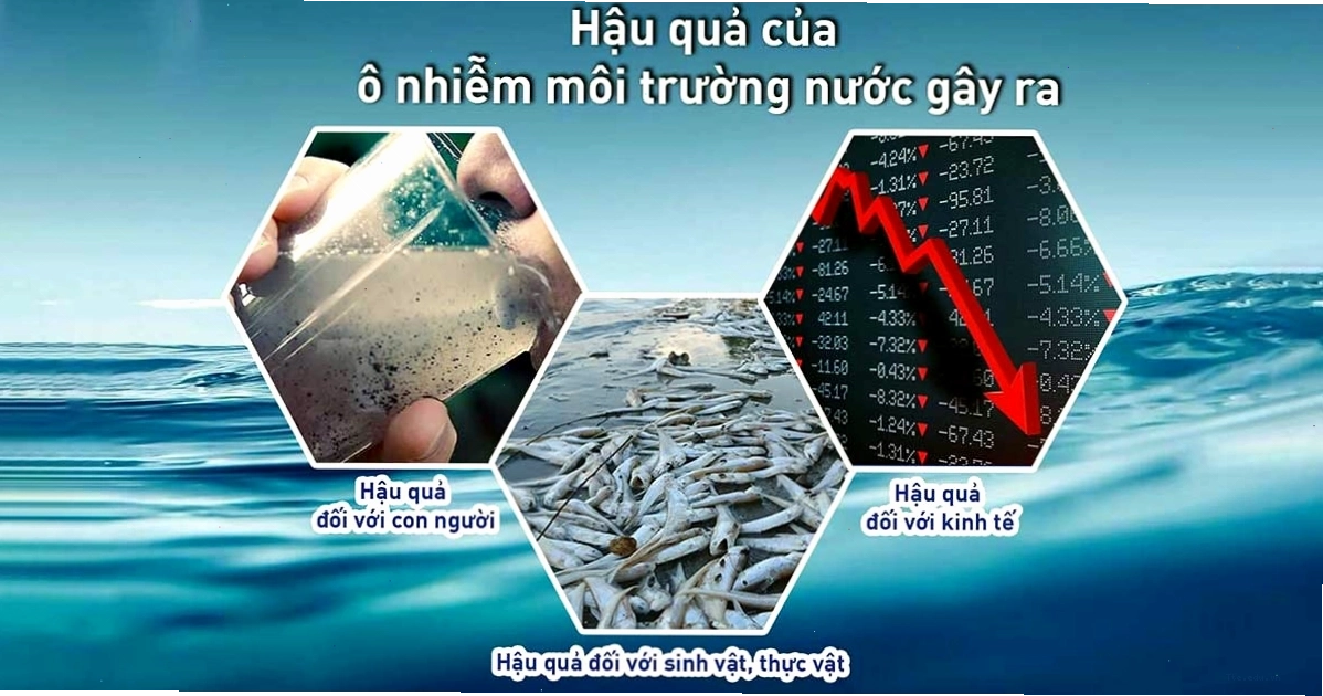 Hậu quả ô nhiễm môi trường nước ảnh hưởng nghiêm trọng đến hệ sinh thái thủy sinh