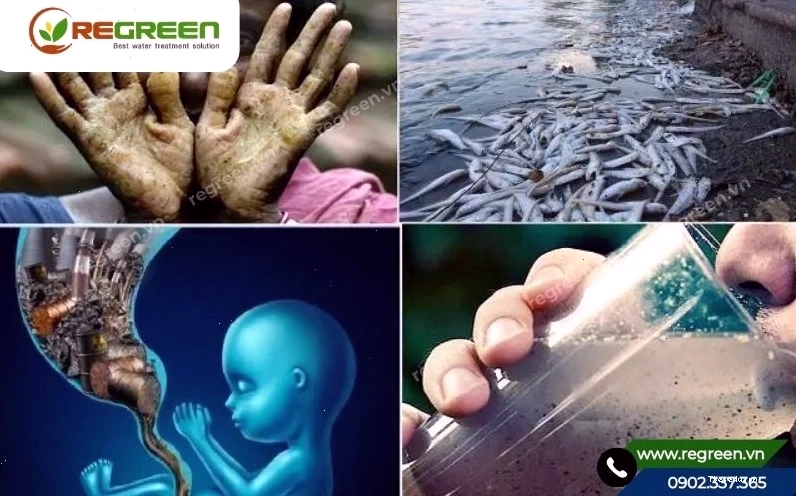 Hậu quả từ dẫn chứng về ô nhiễm môi trường hiện nay