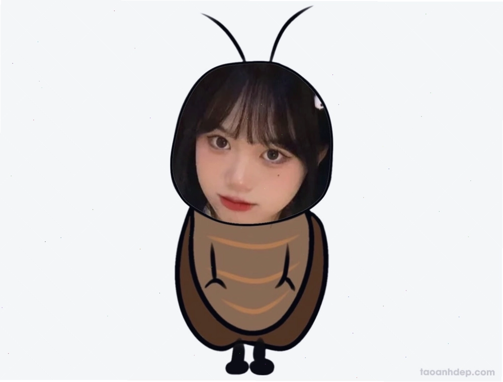 Hình ảnh con gián ngộ nghĩnh dùng làm avatar