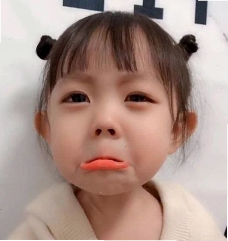 Hình ảnh động vật meme khóc