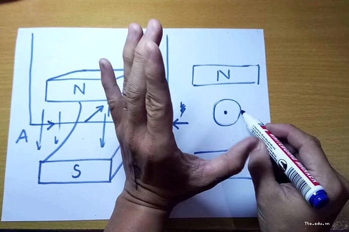 Hình ảnh hướng dẫn sử dụng quy tắc bàn tay trái xác định lực từ