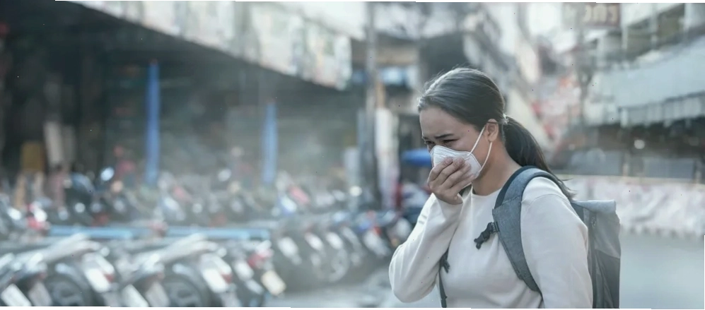 Hình ảnh minh họa cảnh cháy rừng với khói bụi bao trùm, gây ô nhiễm không khí nghiêm trọng