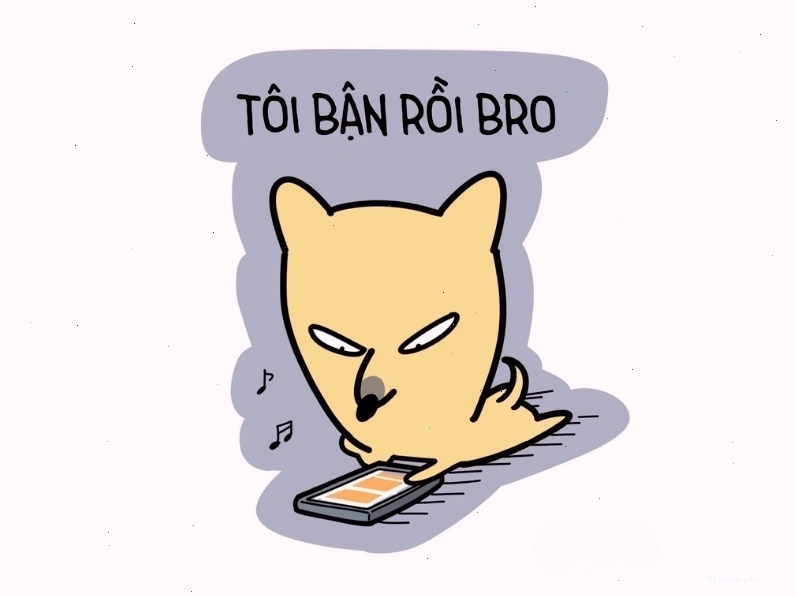 Hình avatar meme mèo hài hước thể hiện sự bận rộn