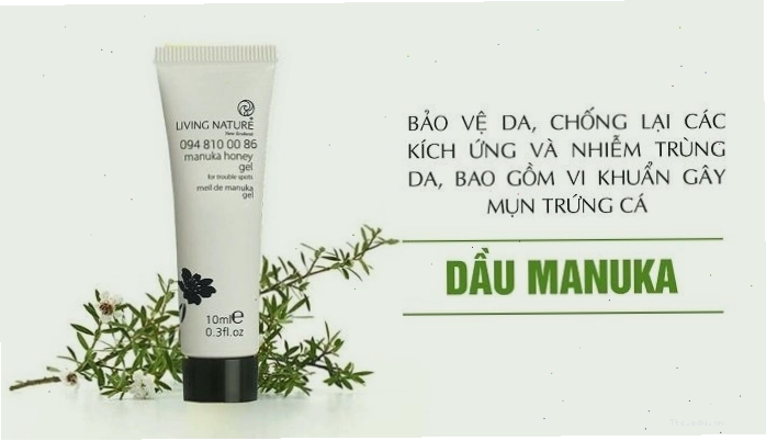 Kem trị mụn từ mật ong Manuka lành tính cho da dầu nhạy cảm