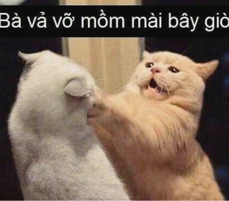 Khi nào nên sử dụng meme đánh nhau để tăng tính hài hước