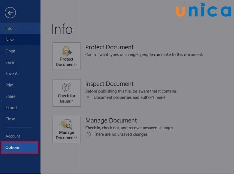 Kích hoạt Developer tab trong cài đặt Word