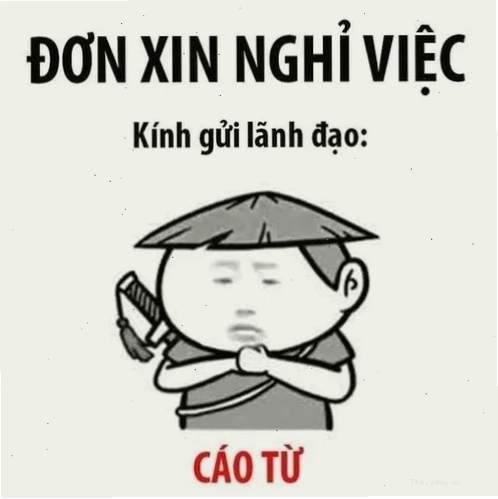 Meme cáo từ hiệp khách áo bào thể hiện sự chia tay đầy phong thái