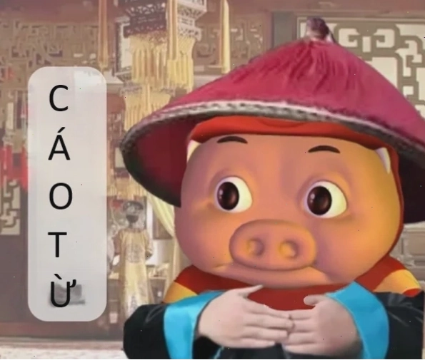 Meme cáo từ với phong thái tự tin