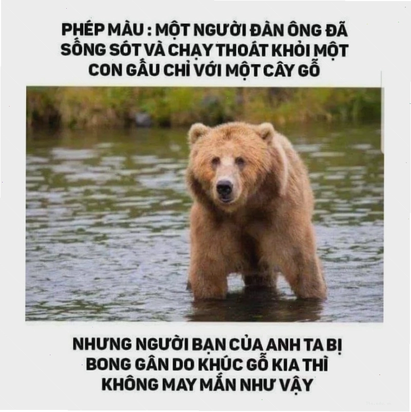Meme chế cực dark với ý nghĩa sâu sắc