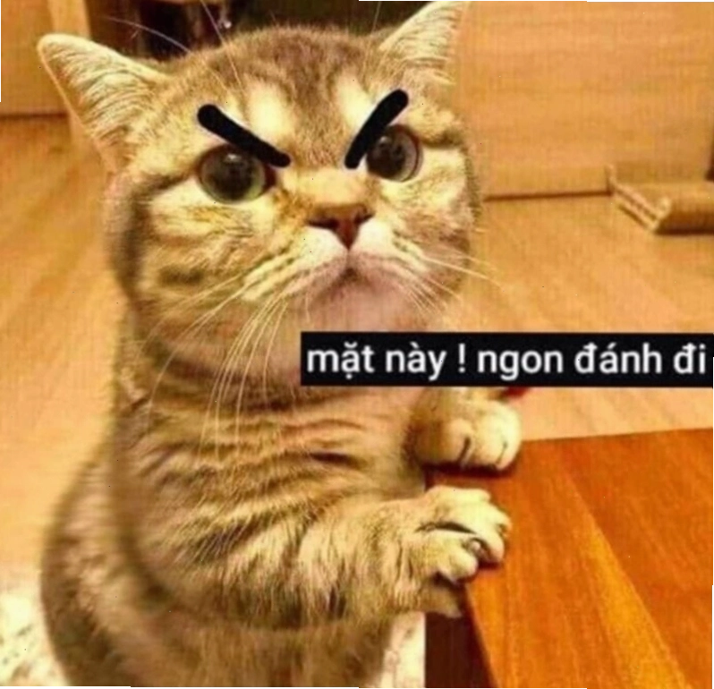 Meme đánh nhau với sự tham gia của các loài vật khác nhau