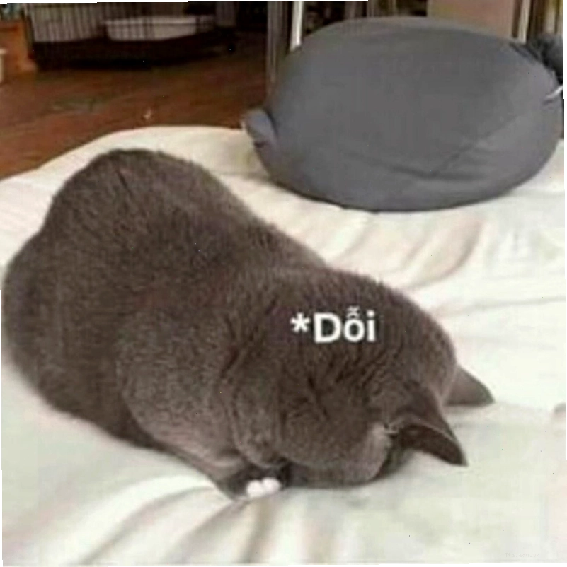 Meme động vật biểu cảm tình yêu