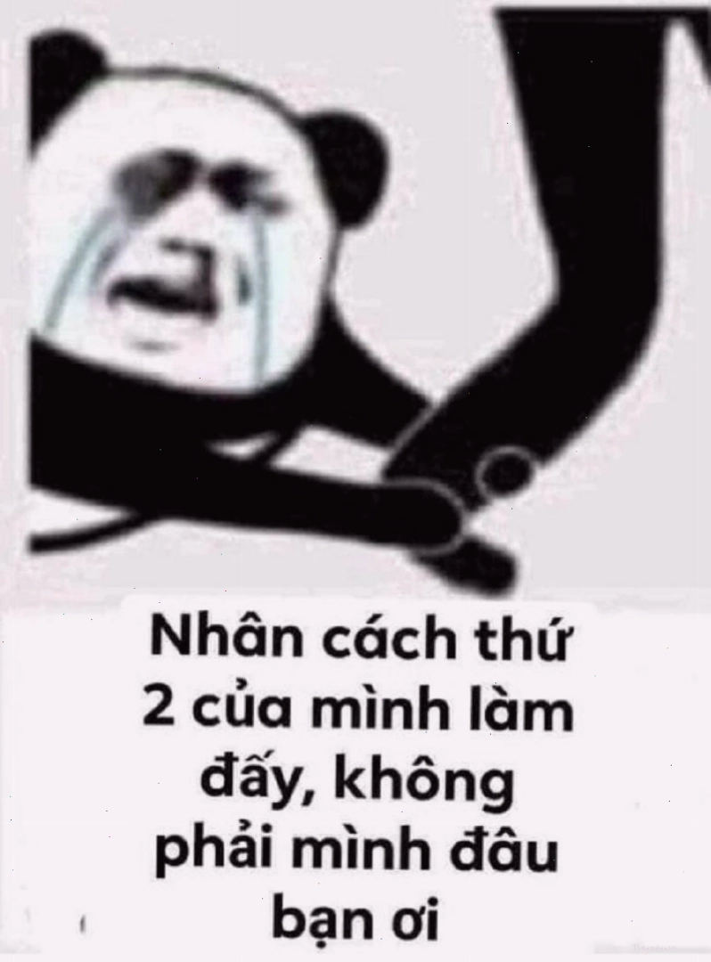 Meme gấu trúc nhân cách thứ hai