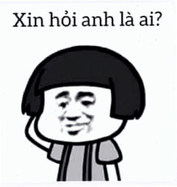 Meme gấu trúc với biểu cảm ngơ ngác