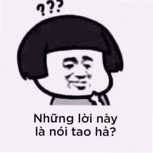 Meme gấu trúc với vẻ mặt ngơ ngác