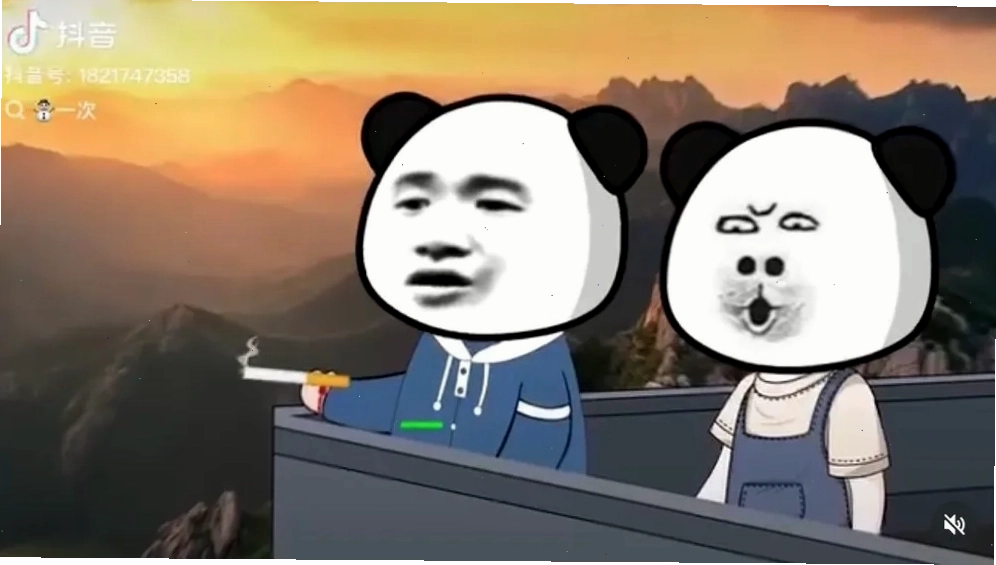 Meme gấu trúc Weibo bựa lầy lội, dễ thương và hài hước
