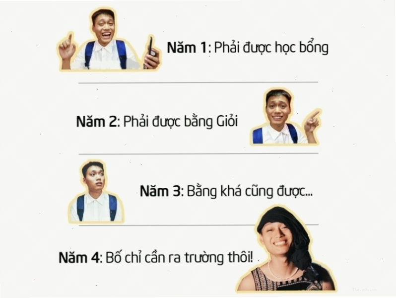 Meme mèo bựa về tư tưởng sinh viên