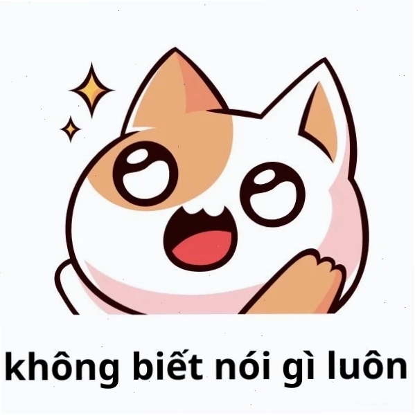 Meme mèo không biết nói gì