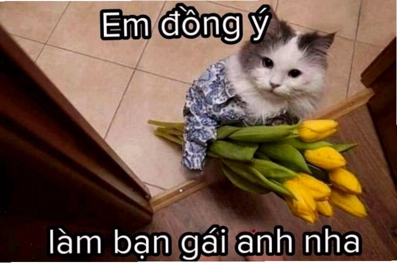 Meme tình yêu lãng mạn