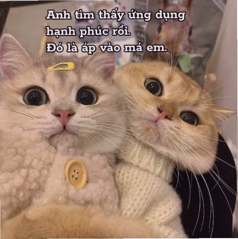 Meme tình yêu thể hiện sự gắn kết