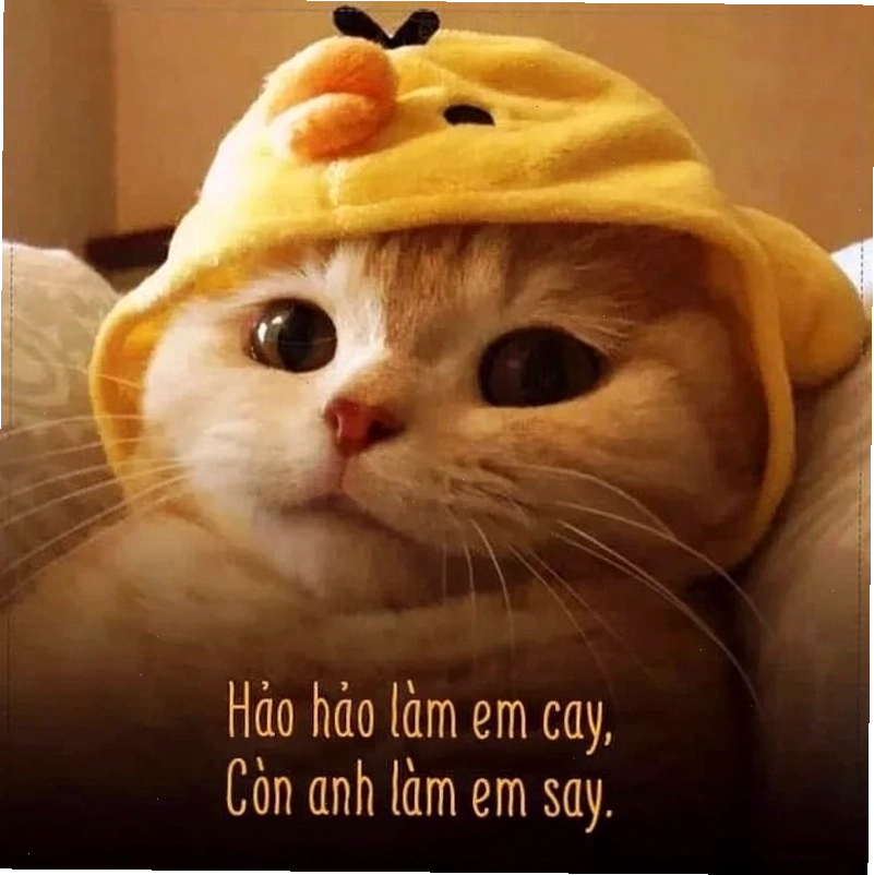 Meme tình yêu thể hiện sự nhớ nhung