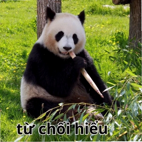Meme từ chối hiểu, không hiểu