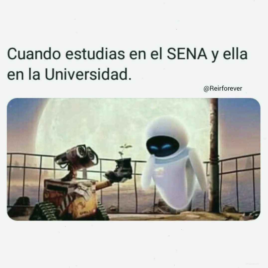 Meme về Tú Sena và chủ đề tài chính