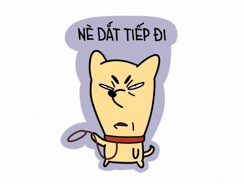 Mèo bựa tạo dáng hài hước trên ảnh avatar meme