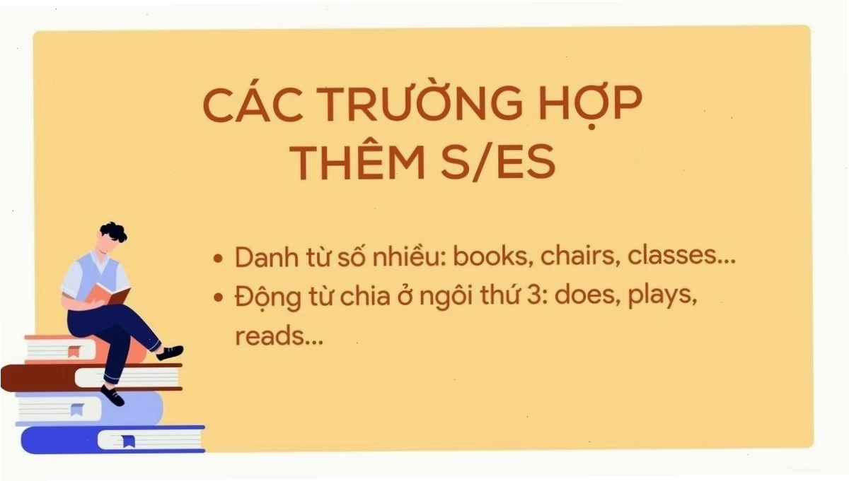 Minh họa các trường hợp thêm s/es vào động từ và danh từ