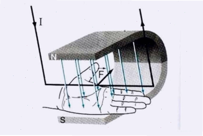 Minh họa lực điện từ tác dụng lên dây dẫn theo quy tắc bàn tay trái