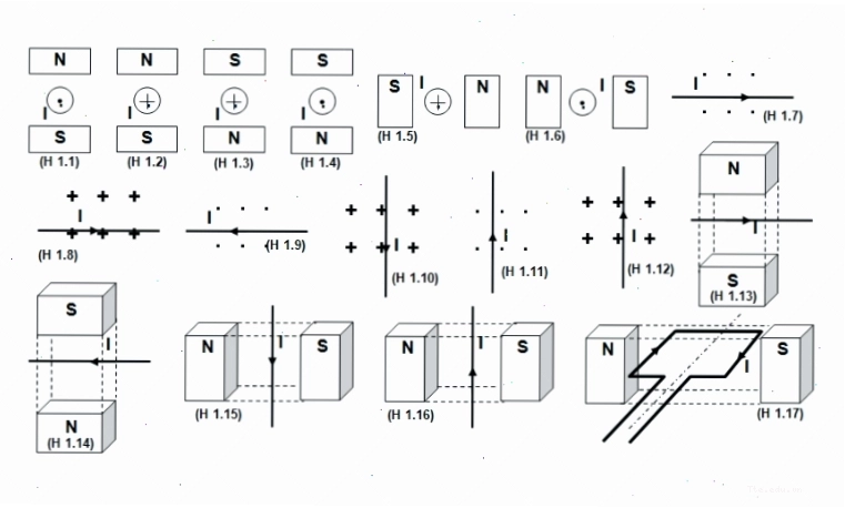 Minh họa quy tắc bàn tay trái xác định lực từ tác dụng lên dây dẫn mang dòng điện