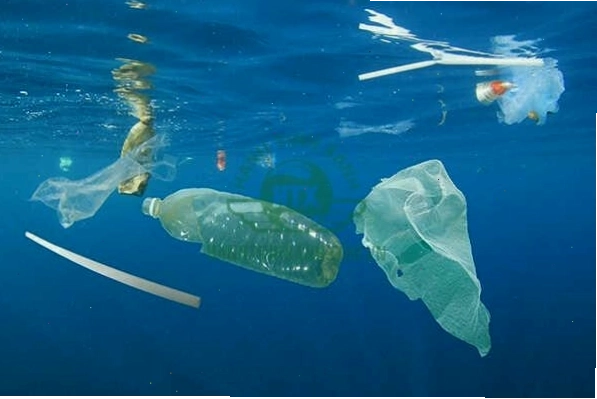 Một con rùa biển đang mắc kẹt trong lưới nhựa trôi nổi trên biển