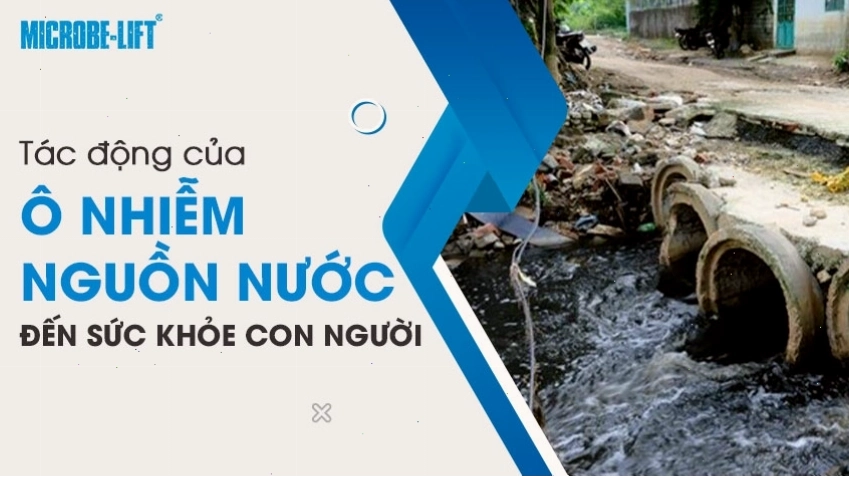 Ô nhiễm nguồn nước gây ra nhiều tác động tiêu cực đến sức khỏe con người