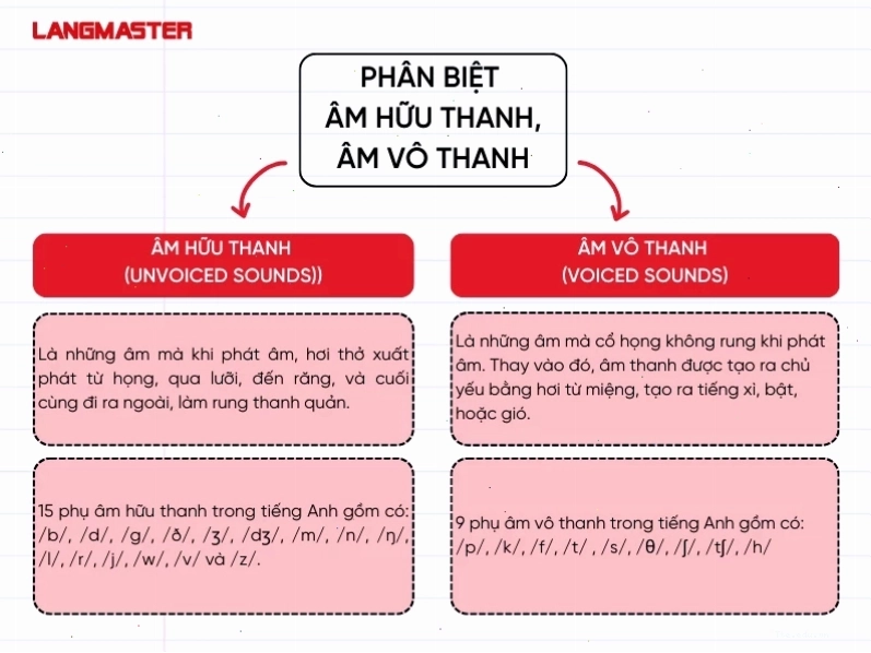 Phân biệt âm vô thanh và âm hữu thanh trong tiếng Anh