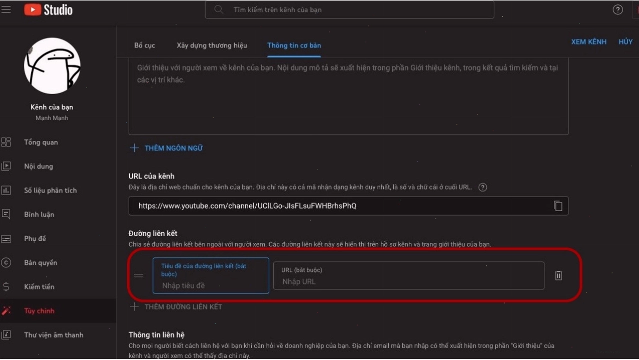 Phân tích xu hướng nội dung YouTube