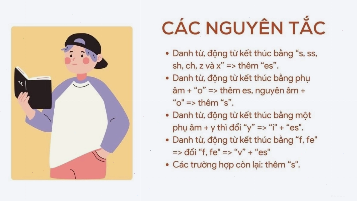 Quy tắc thêm es cho động từ và danh từ kết thúc bằng s, x, sh, ch, o
