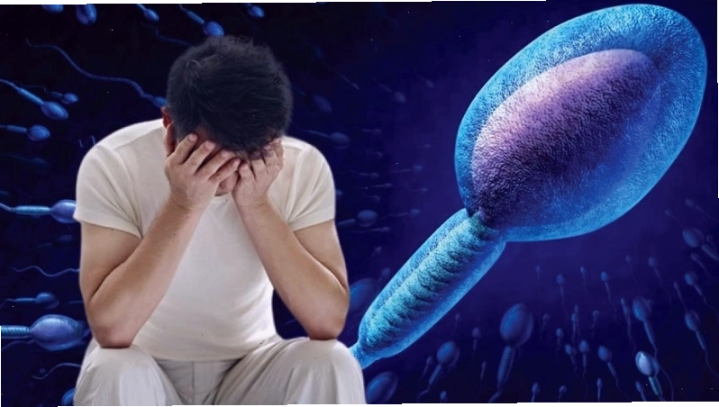 Sóng điện từ có thể ảnh hưởng đến chất lượng tinh trùng ở nam giới