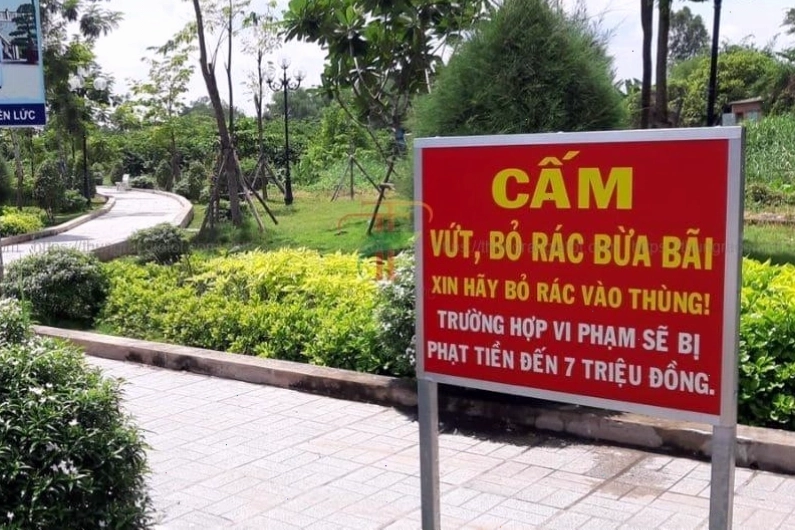 Tác hại của việc xả rác bừa bãi lên sinh vật biển