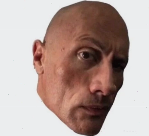 The Rock eyebrows meme