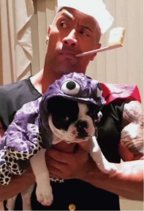The Rock meme đang nói chuyện