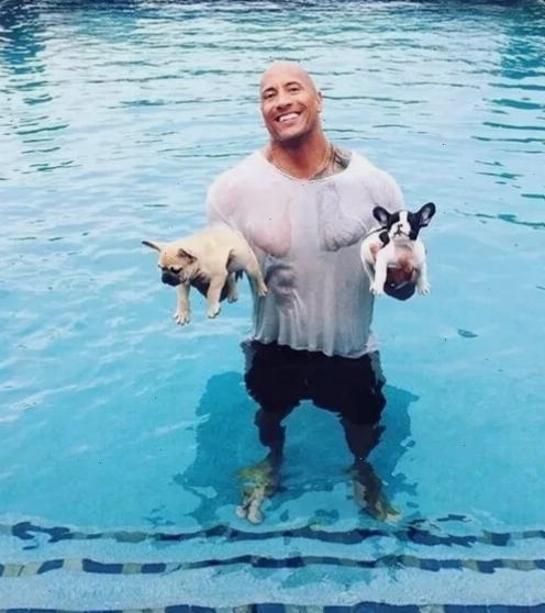 The Rock meme png