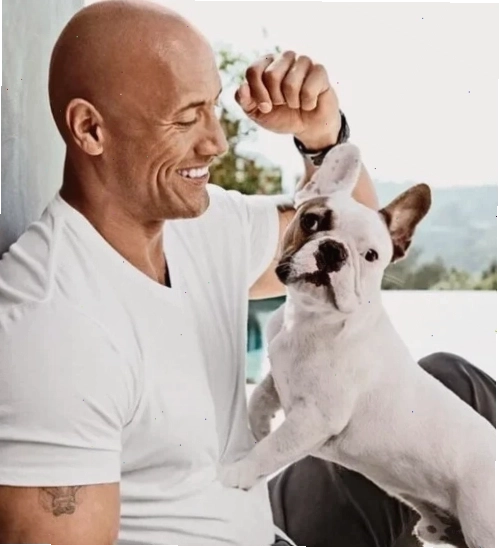 The Rock meme với nụ cười