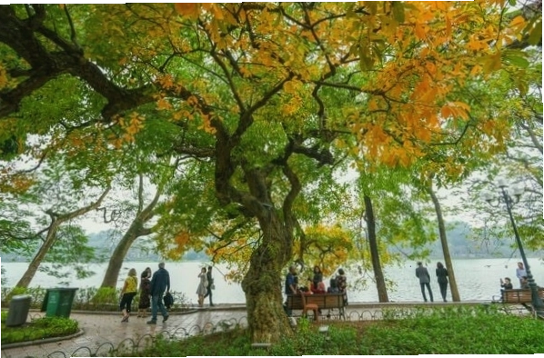 Nắng thu nhẹ nhàng nhuộm vàng các góc phố cổ Hà Nội