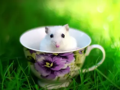 Những bức ảnh vô tri đầy ấn tượng và ý nghĩa sâu sắc