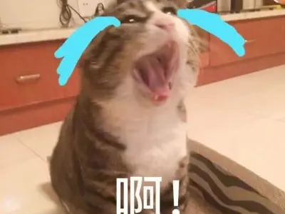 Tải ngay ảnh meme độc lạ và hài hước không xem là tiếc