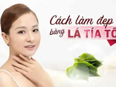 Cách làm đẹp bằng lá tía tô an toàn tự nhiên hiệu quả