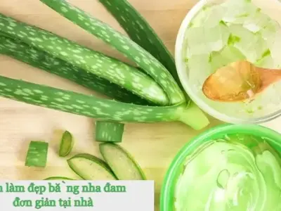 Cách làm đẹp da bằng nha đam đơn giản hiệu quả tại nhà
