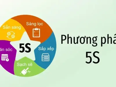 Quy tắc 5S là gì và cách áp dụng hiệu quả trong công việc