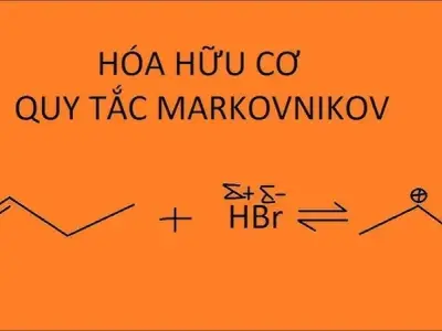 Quy tắc Markovnikov và cách áp dụng trong phản ứng hữu cơ